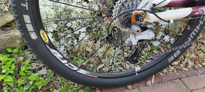 Scott Contessa 26"