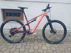 Canyon Neuron 5