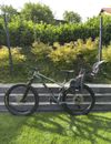 Trek Roscoe 8