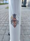Silniční kolo Bianchi Sprint ICR Carbon 105 2026 velikost XL