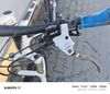 Author Revolt carbon