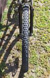 WTB Trail Boss 2.4 29 