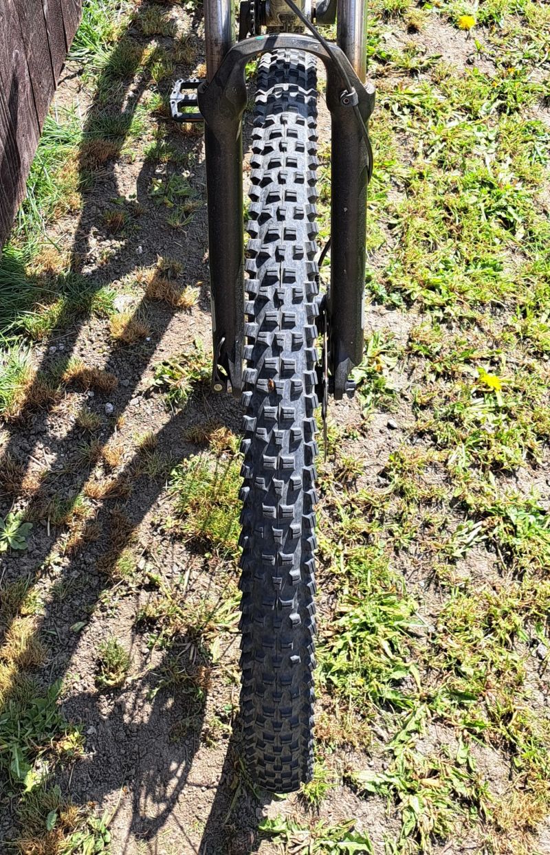 WTB Trail Boss 2.4 29 