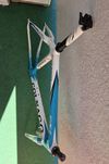 Colnago