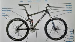 Celoodpruzene kolo Stevens Fluent ES 20"