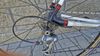 Synapse Carbon carbon