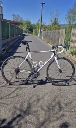 Synapse Carbon carbon