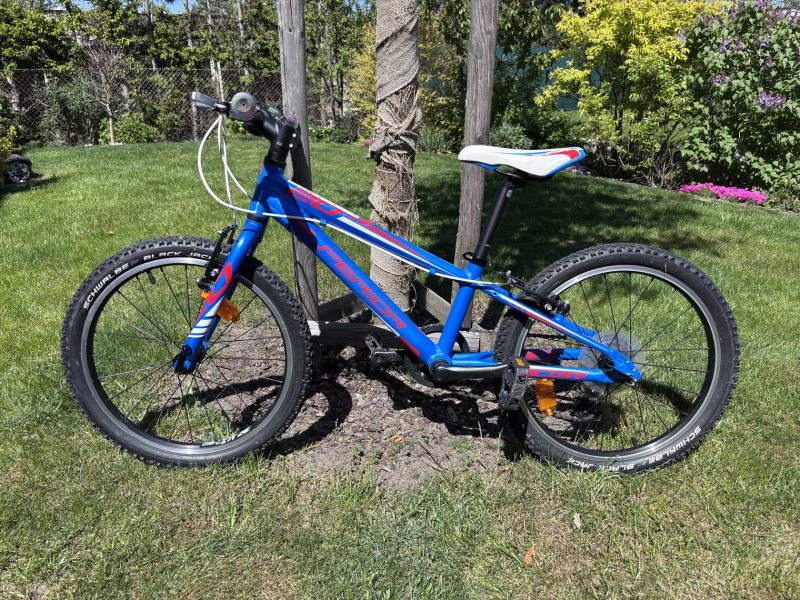 Dětské kolo Superior Racer 20"