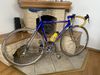 Pinarello Radius Campagnolo