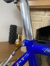 Pinarello Radius Campagnolo