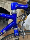 Pinarello Radius Campagnolo