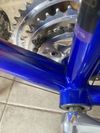Pinarello Radius Campagnolo