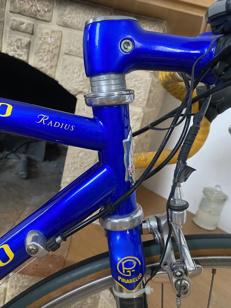 Pinarello Radius Campagnolo