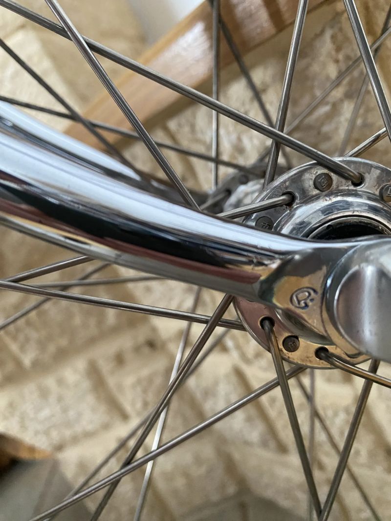Pinarello Radius Campagnolo