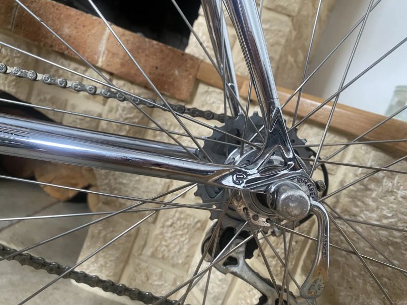 Pinarello Radius Campagnolo