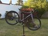 Specialized Diverge 4 Comp Alloy