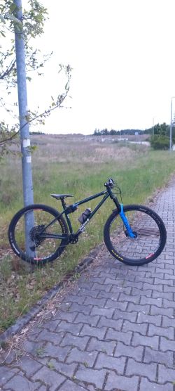 Stanton Sherpa gen 3 vel 17"