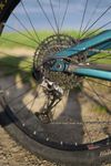 Lapierre Zesty TR 4.9 – s novou vidlicí FOX 36 (2025)