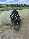 Gravel Cinelli Zydeco 2025 (vel. L) – Shimano GRX