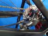 Fatbike APEXBIKE