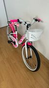 Dino bikes 204BR