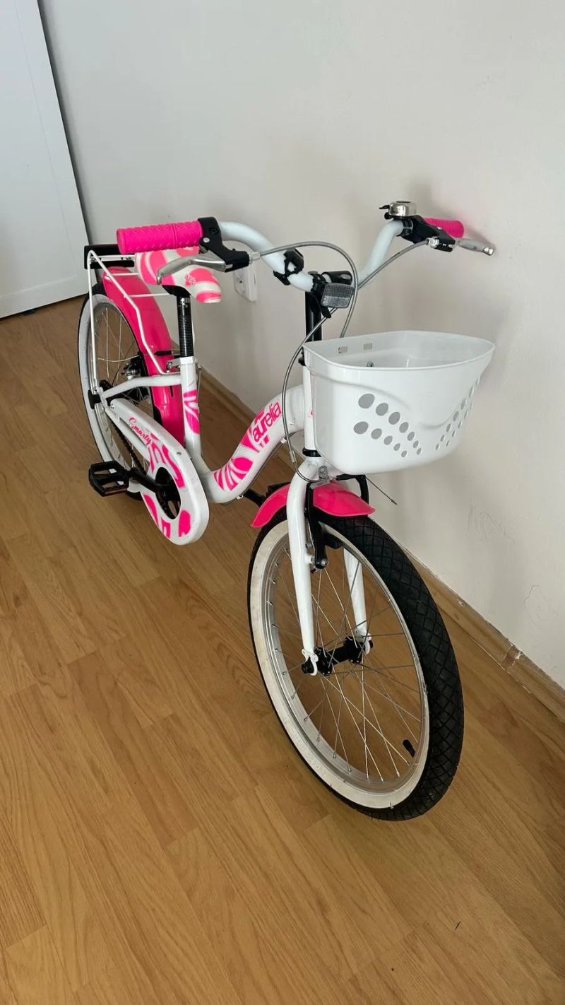 Dino bikes 204BR