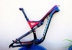Specialized Stupjumper Expert Carbon 29"