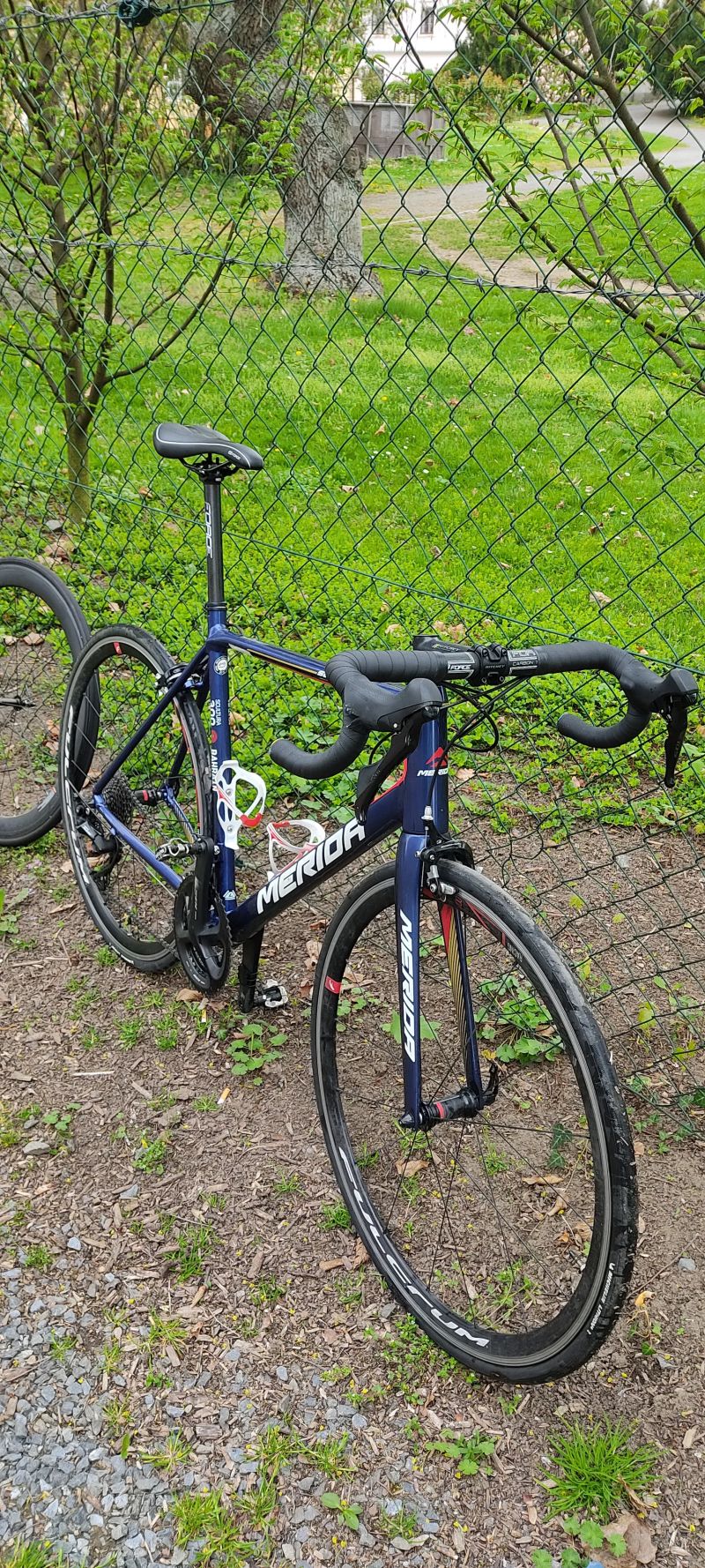 Merida Scultura 300