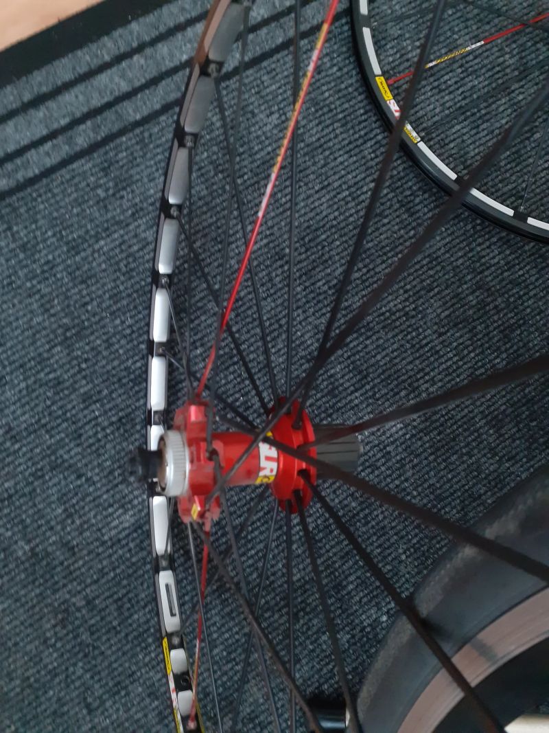 Mavic