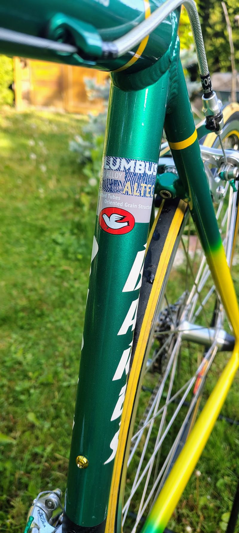 Bareš AL Columbus 54