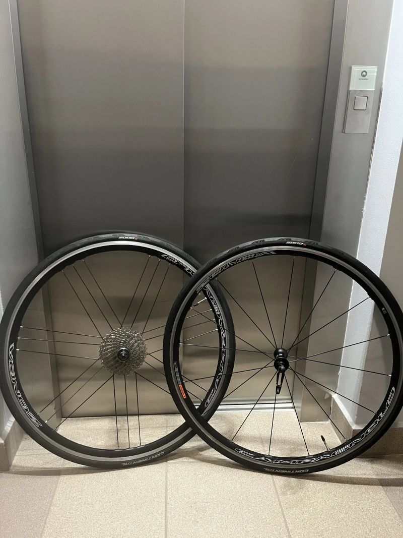 Silniční zapletená kola Campagnolo Zonda C17 + pláště GP5000 + kazeta 11-34