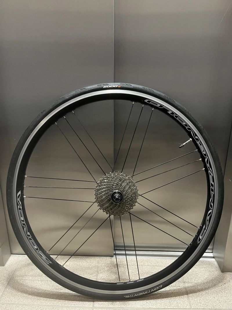 Silniční zapletená kola Campagnolo Zonda C17 + pláště GP5000 + kazeta 11-34