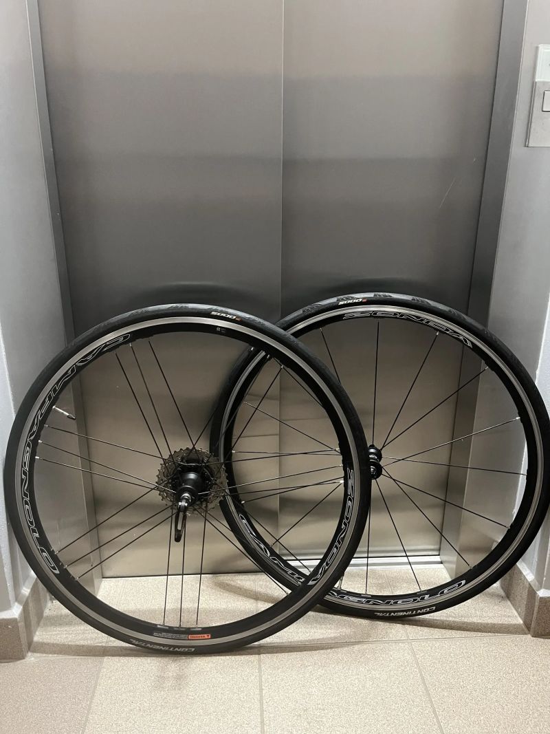 Silniční zapletená kola Campagnolo Zonda C17 + pláště GP5000 + kazeta 11-34