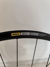 Mavic