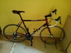 Focus Culebro SL 1.0