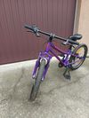 Specialized Hotrock 20''