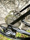 Orbea Terra M30 Team