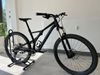 Specialized Stumpjumper ST 29 L