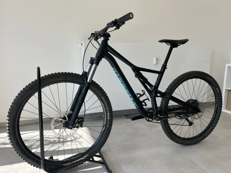 Specialized Stumpjumper ST 29 L