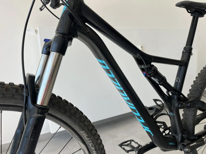 Specialized Stumpjumper ST 29 L