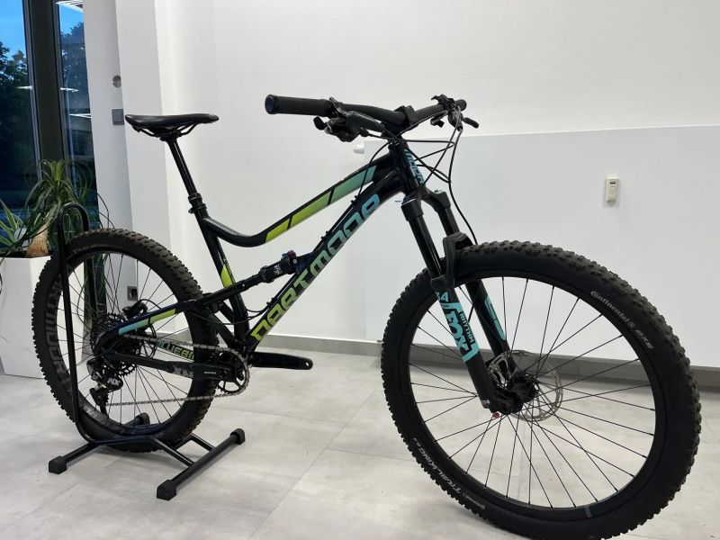 Dartmoor Bluebird Pro L