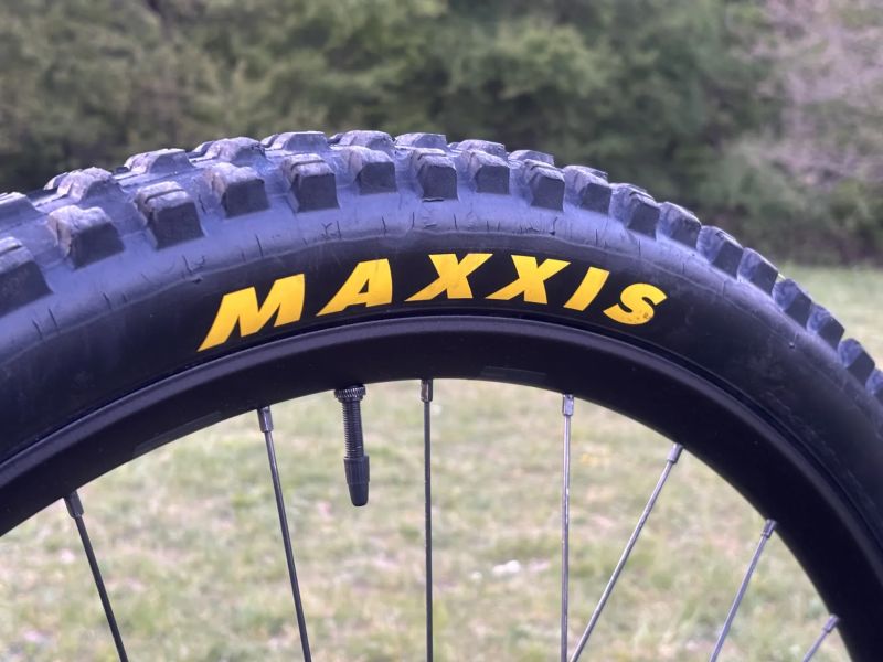 Trek Remedy 8