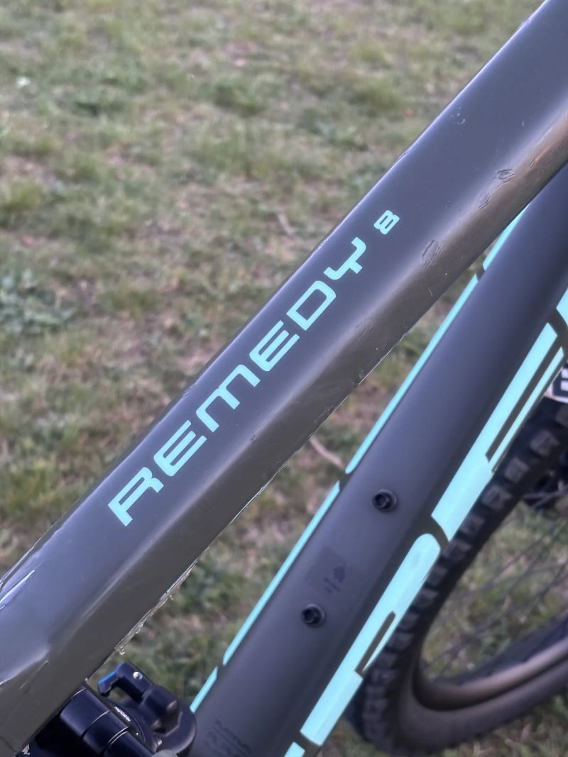 Trek Remedy 8