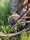 Trek Elite 9.6