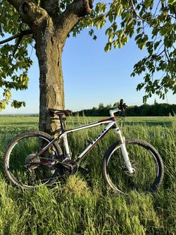 Trek Elite 9.6