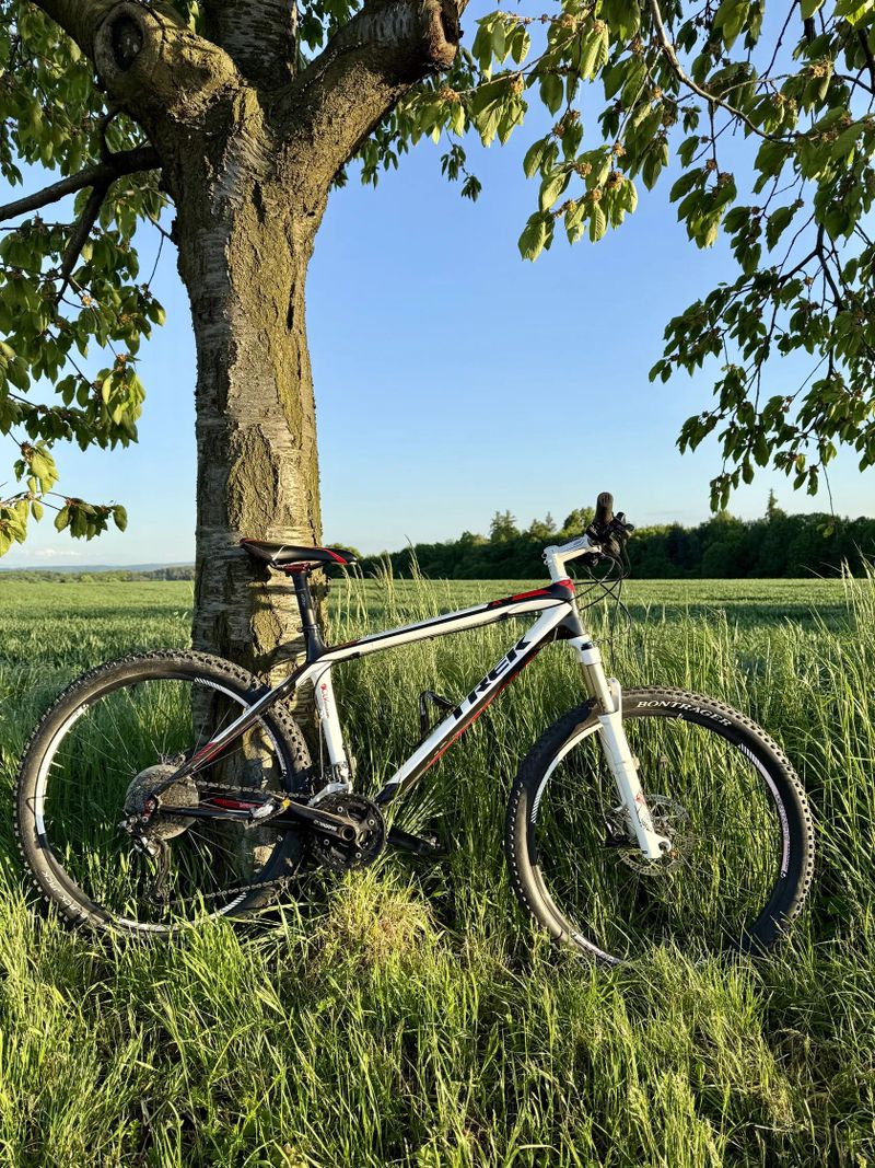 Trek Elite 9.6
