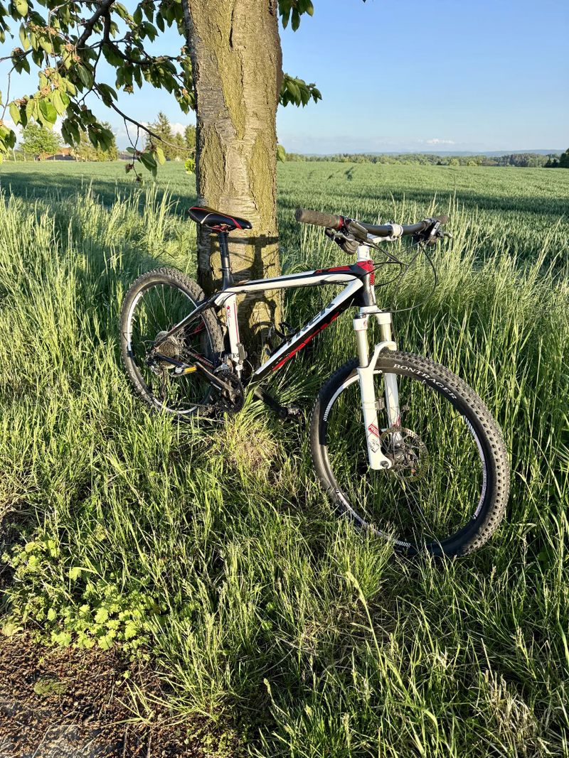 Trek Elite 9.6