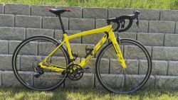 BH Quartz Carbon 46 cm