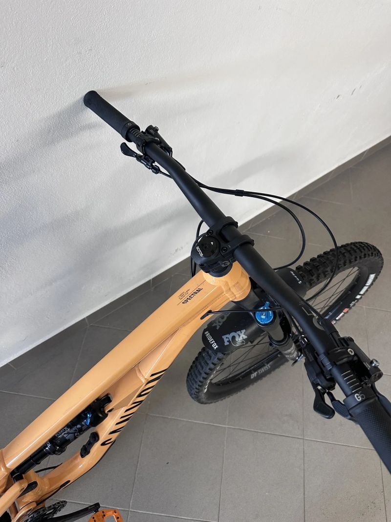 Canyon Spectral AL6