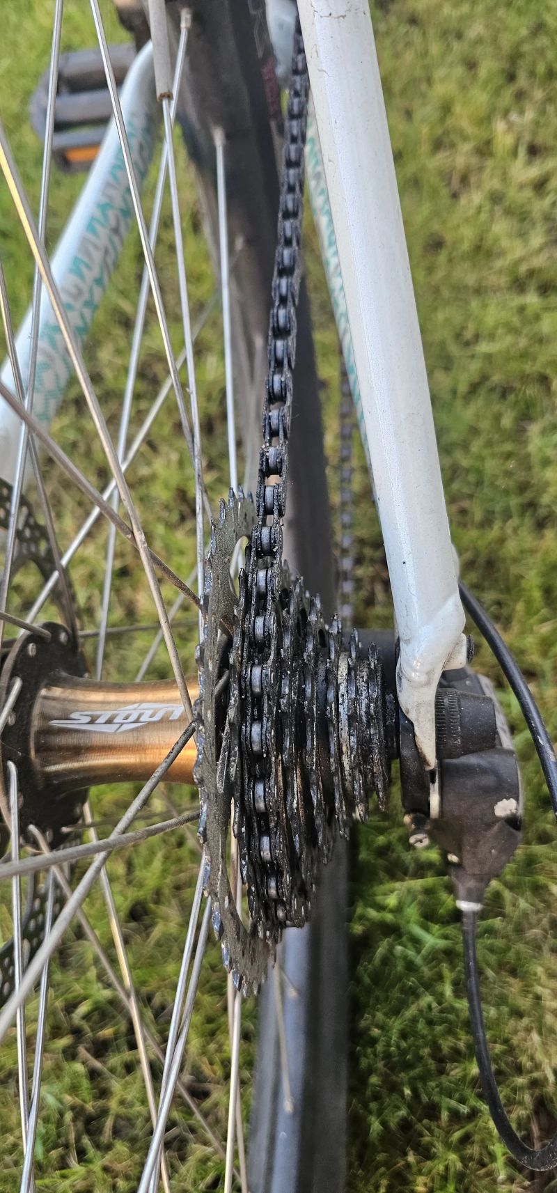 Specialized